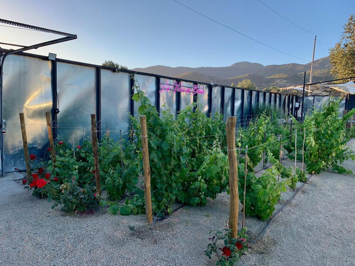 La Finca De Vane Valle de Guadalupe Bagian luar foto