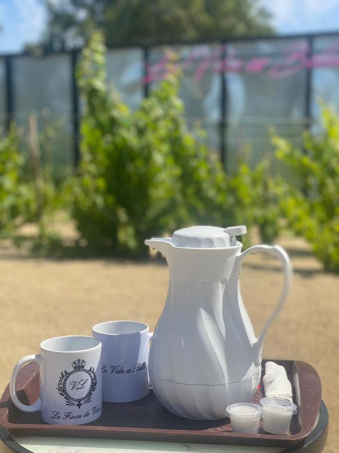 La Finca De Vane Valle de Guadalupe Bagian luar foto